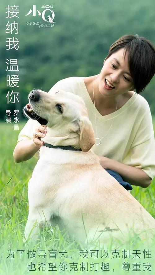 不来梅大学物理学文凭证书